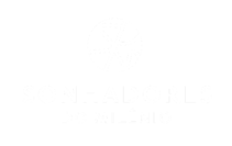 ARTIVISMO – LIDERANÇA FEMININA NA ERA DIGITAL